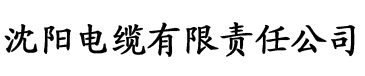 无码av电影免费黄av电影电缆厂logo